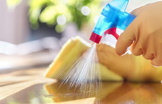 SANITATION CLEANING